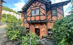 Ferienhaus Villa Frosch